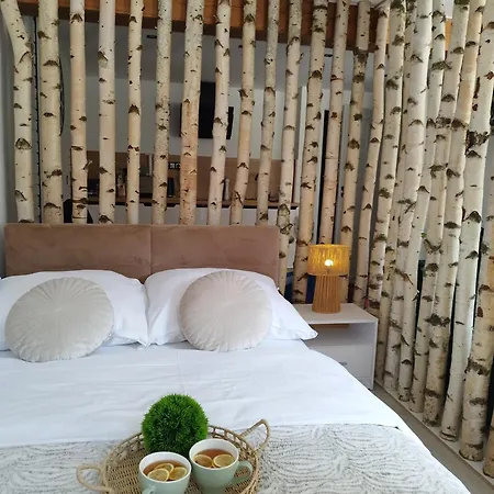 Daire Stara Kamienica Pod Bialym Labedziem *