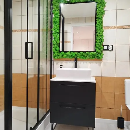 Stara Kamienica Pod Bialym Labedziem Daire