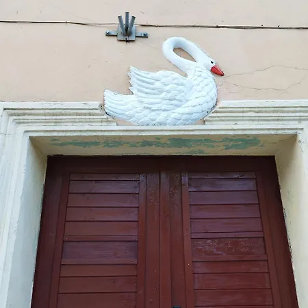 Daire Stara Kamienica Pod Bialym Labedziem *