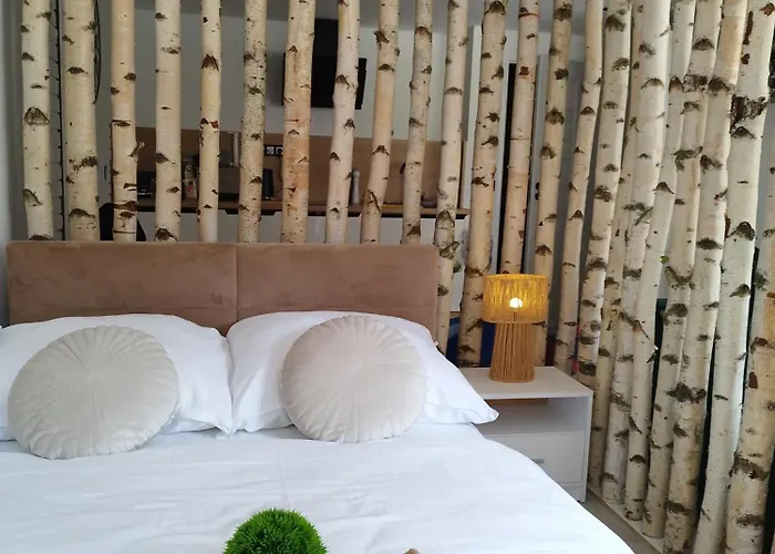 Apartament Stara Kamienica Pod Białym łabędziem *