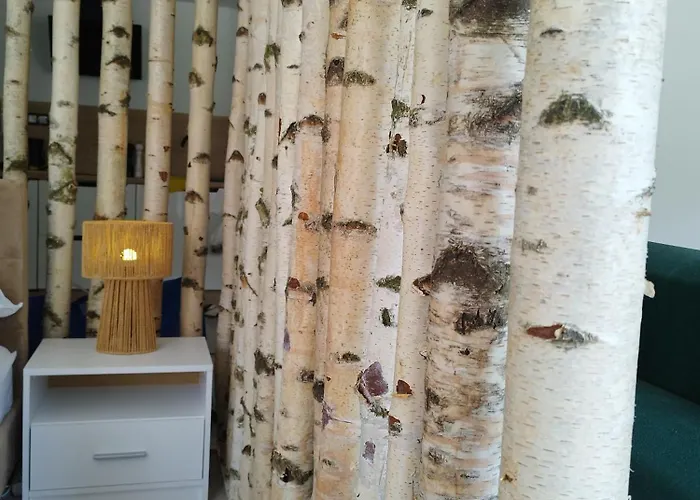 Apartament Stara Kamienica Pod Białym łabędziem *