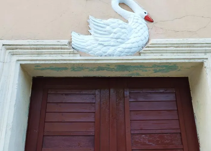 Apartament Stara Kamienica Pod Białym łabędziem *